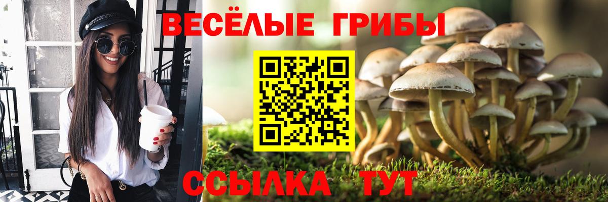 Троицк  Псилоцибиновые грибы Psilocybine cubensis  Псилоцибиновые грибы прущие грибы  Вход с VPN 